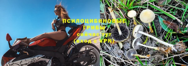 бутират Алексеевка