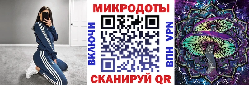 где купить наркоту  Югорск  Галлюциногенные грибы Cubensis 